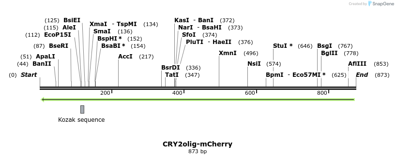 97627_map