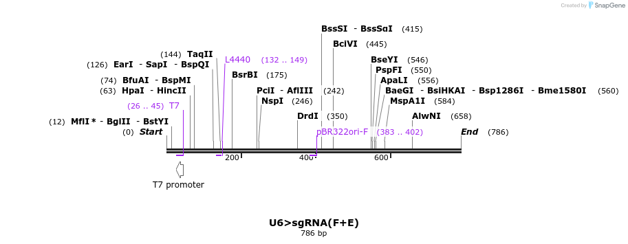 97630_map