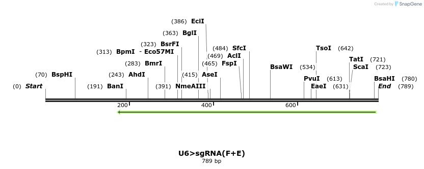97631_map