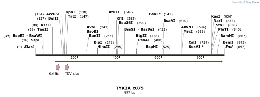 97632_map