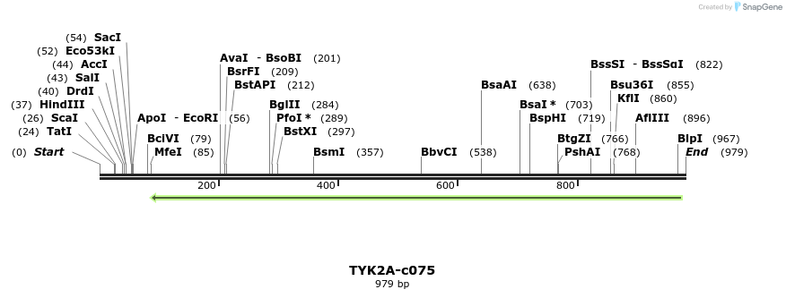 97633_map