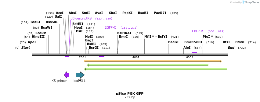 97637_map