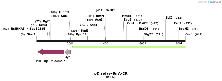 97640_map