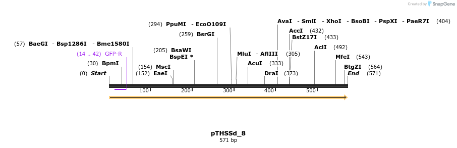 97642_map