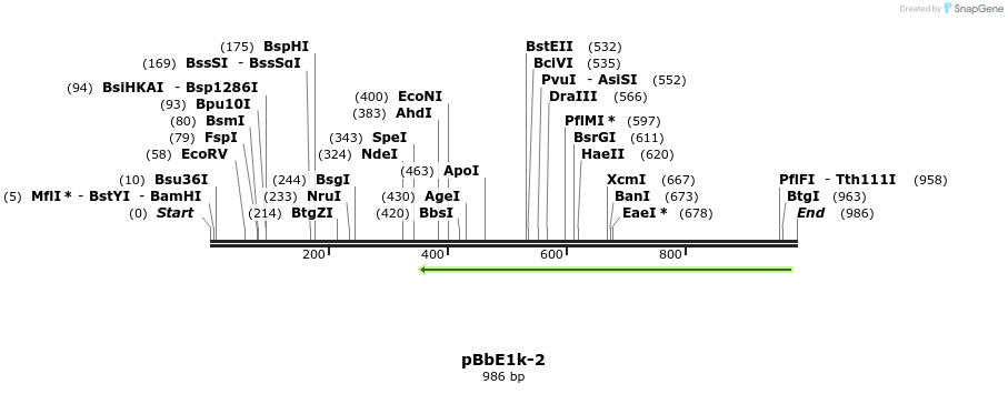 97645_map