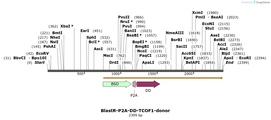 97646_map