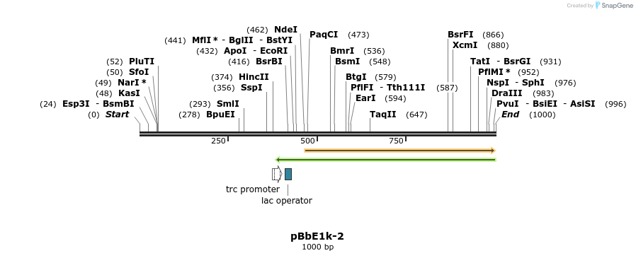 97647_map