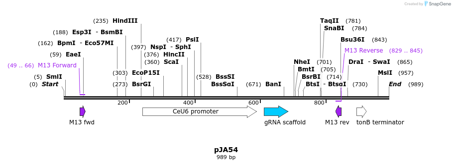 97649_map