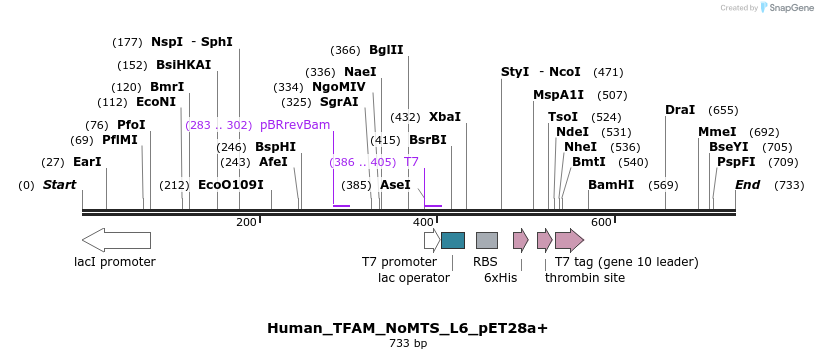 97650_map