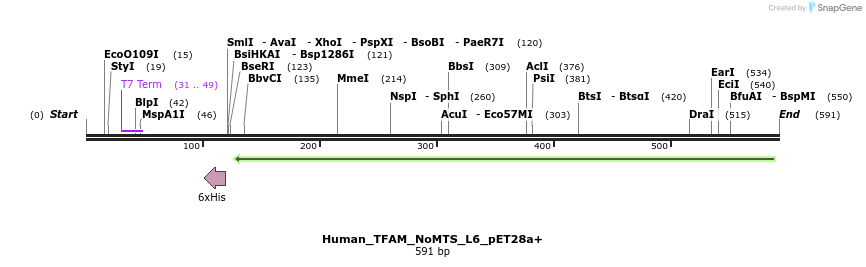 97653_map