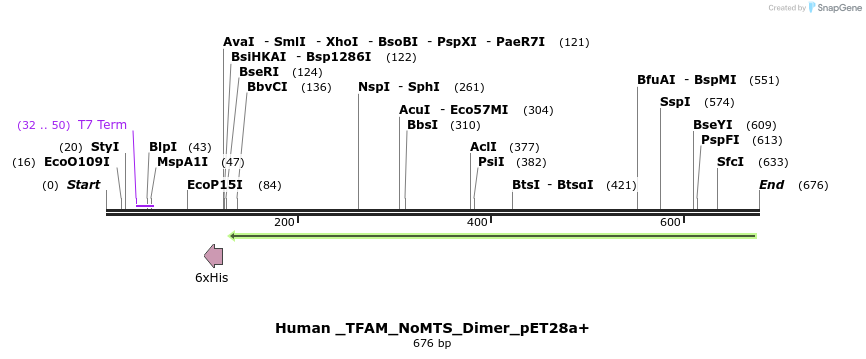 97654_map