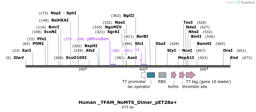 97655_map