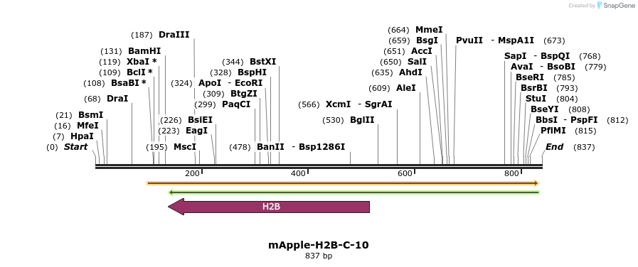 97658_map