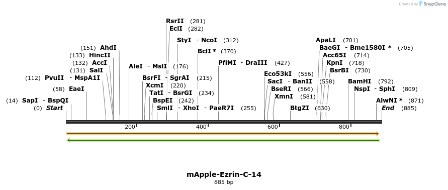 97659_map