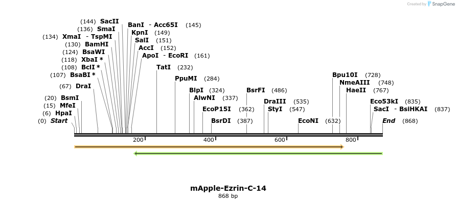 97660_map