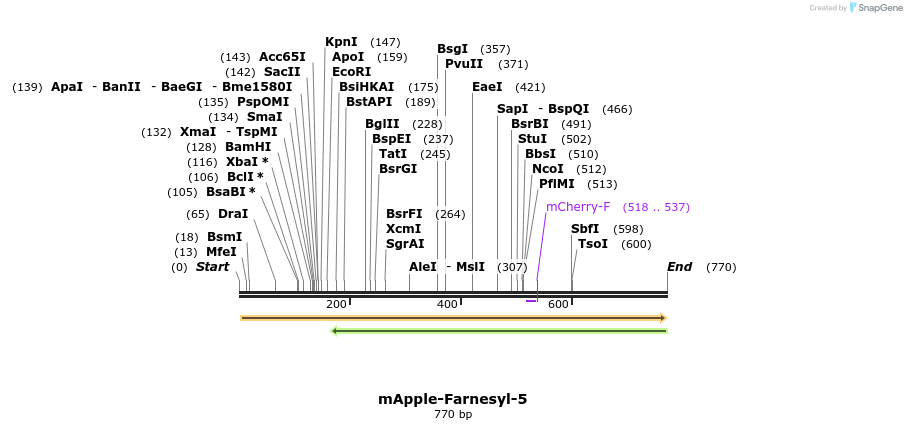 97662_map