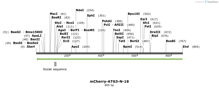 97663_map