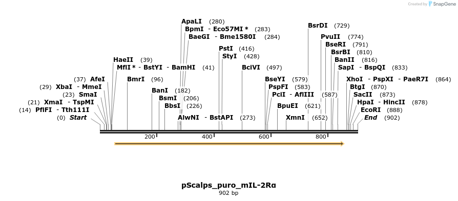 97665_map