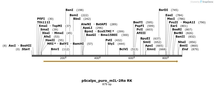 97668_map