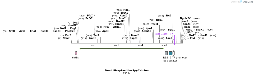 97669_map
