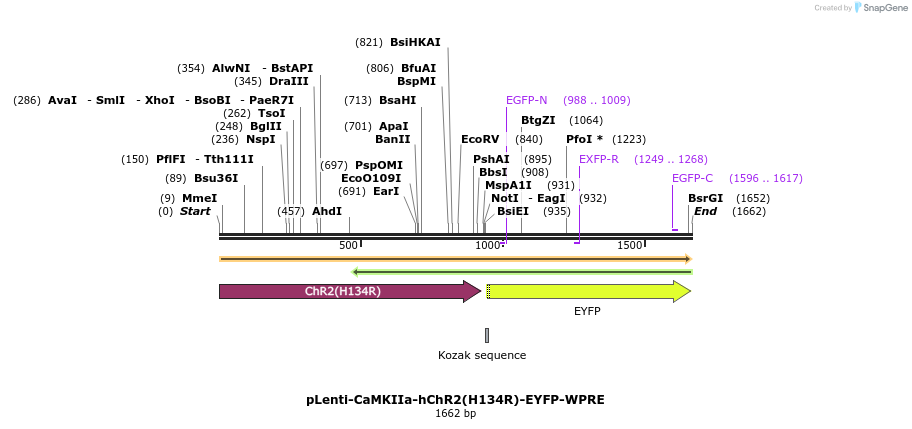 9767_map