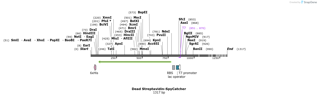 97670_map