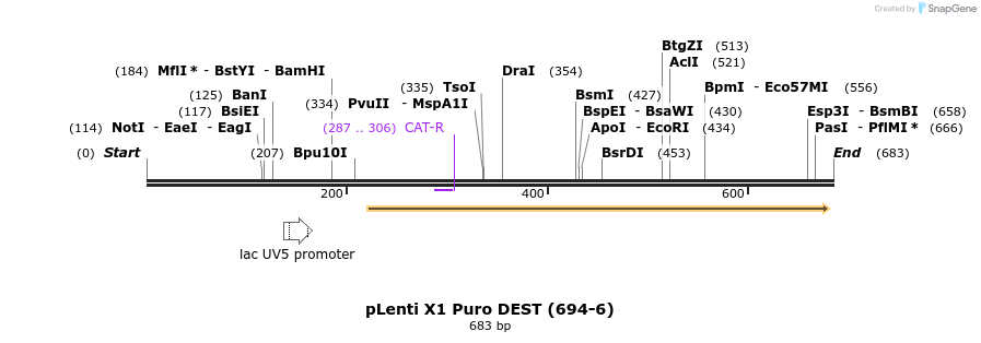 97673_map