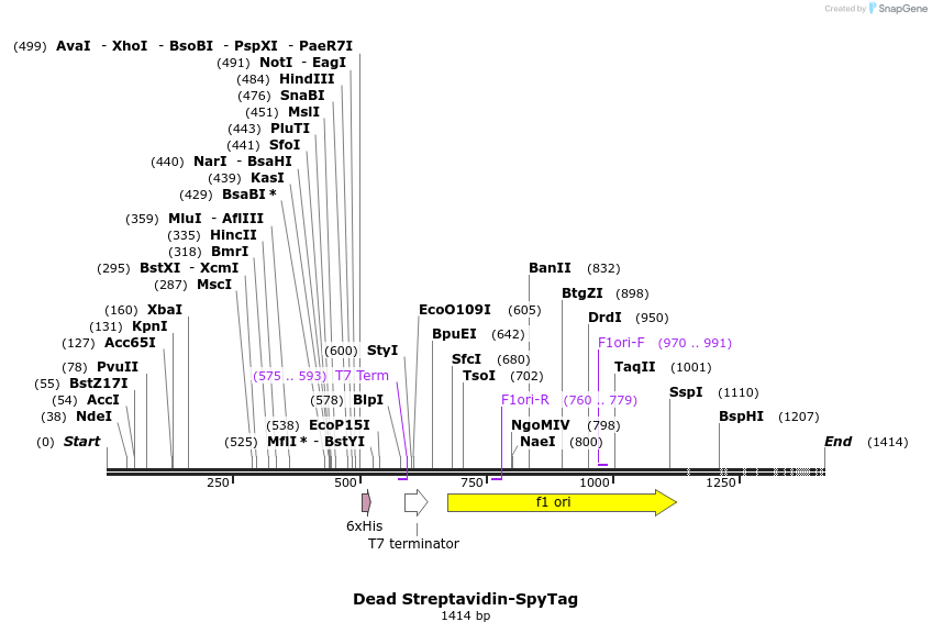 97676_map