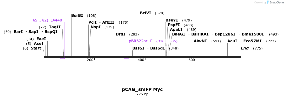 97682_map