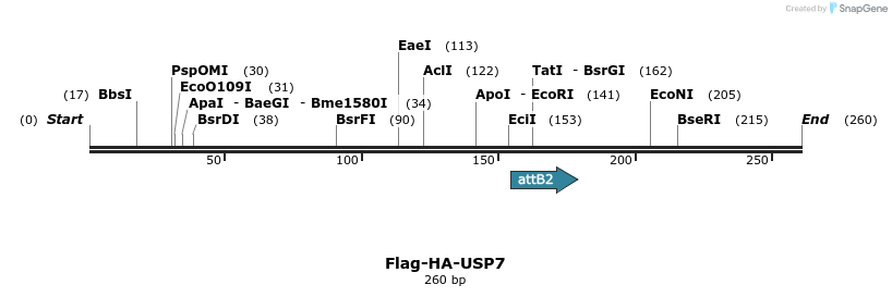 97688_map