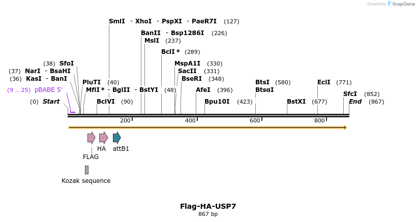 97690_map