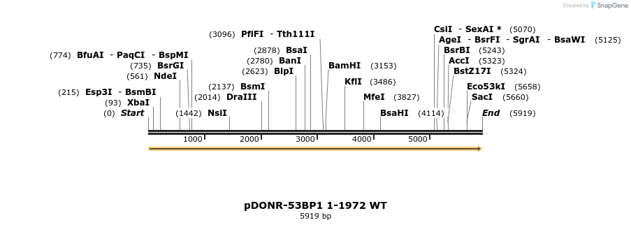97691_map