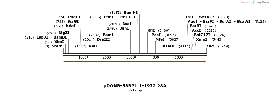 97692_map