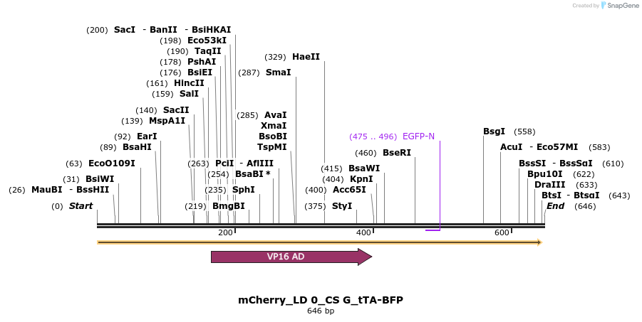 97695_map