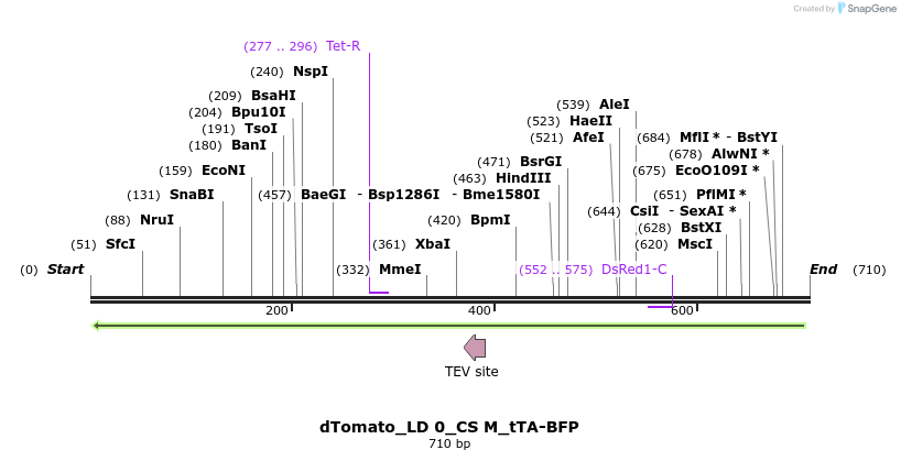 97696_map