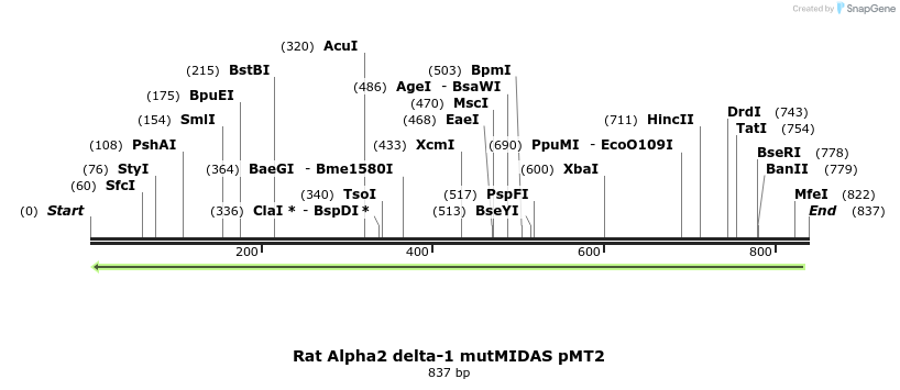 97697_map