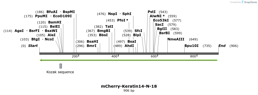 97698_map