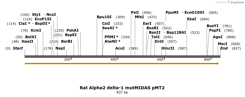 97699_map