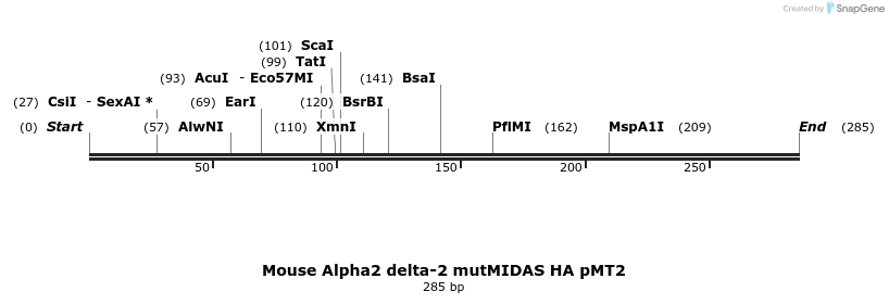 97702_map