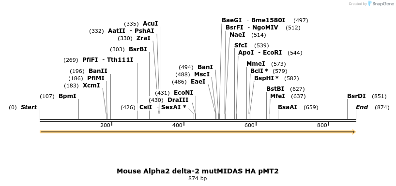 97703_map