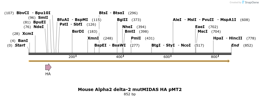 97705_map