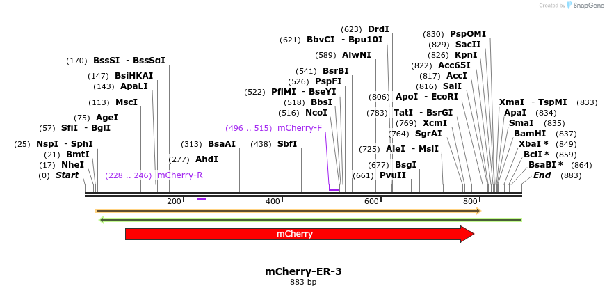 97771_map