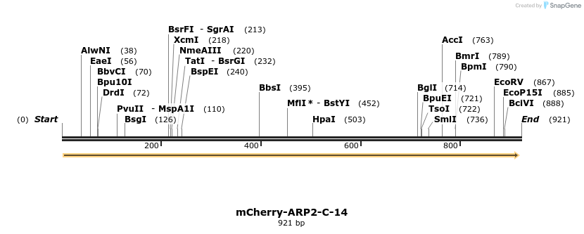 97772_map