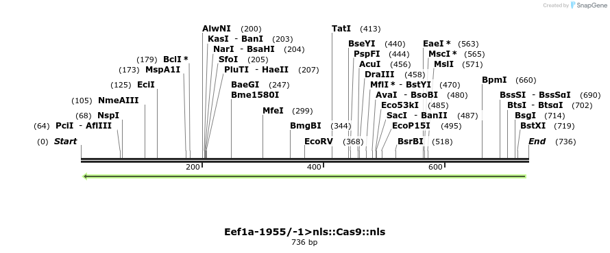 97773_map