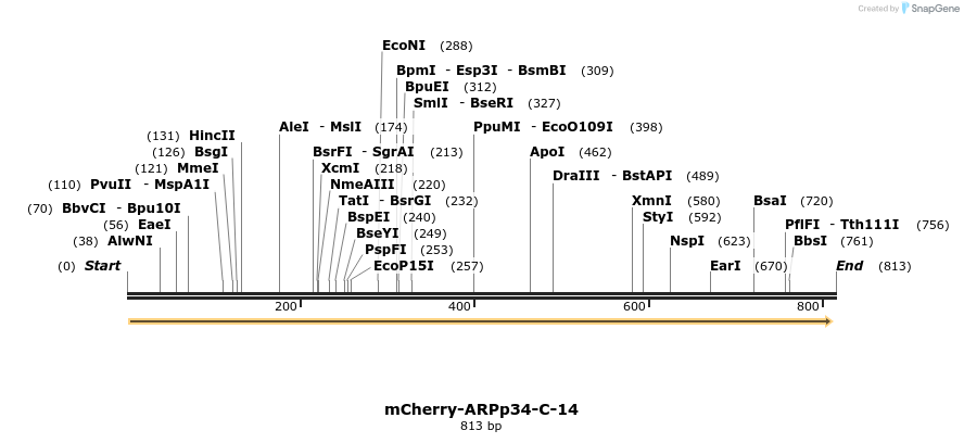 97774_map