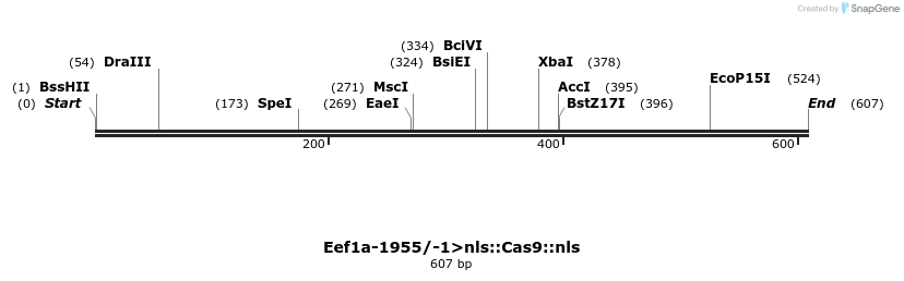 97777_map