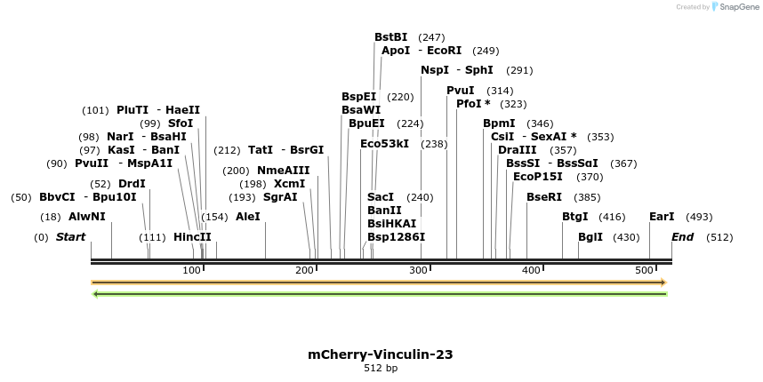 97779_map
