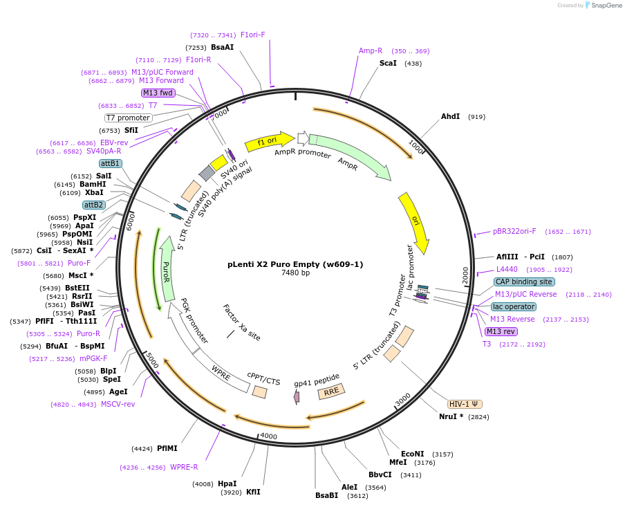 9778_map