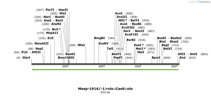 97783_map