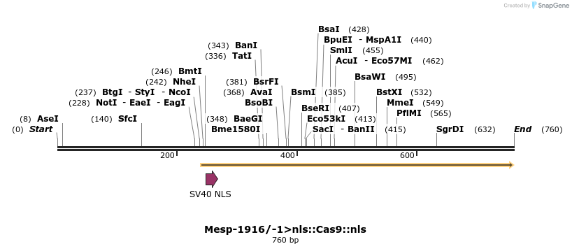 97784_map